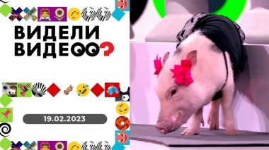 Видели видео. Выпуск от 19.02.2023