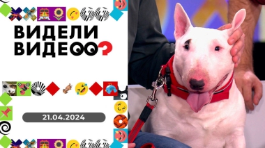 Видели видео? Выпуск от 21.04.2024