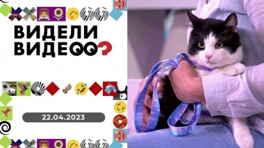 Видели видео? Выпуск от 22.04.2023