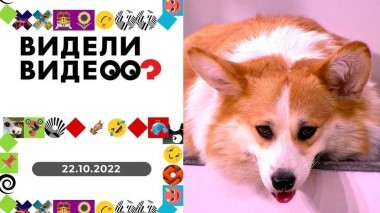 Видели видео? Выпуск от 22.10.2022