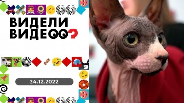 Видели видео? Выпуск от 24.12.2022