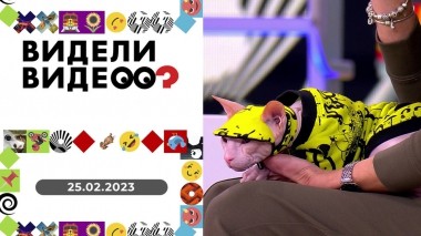 Видели видео? Выпуск от 25.02.2023