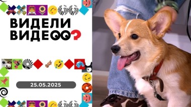 Видели видео? Выпуск от 25.05.2025