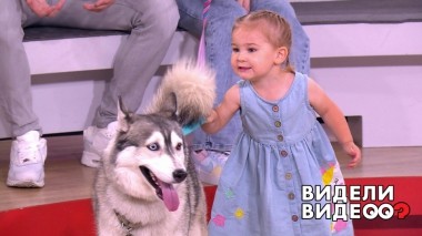 Видели видео? Выпуск от 25.09.2022