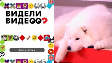 Видели видео? Выпуск от 25.12.2022
