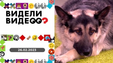 Видели видео? Выпуск от 26.02.2023