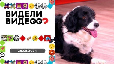 Видели видео? Выпуск от 26.05.2024