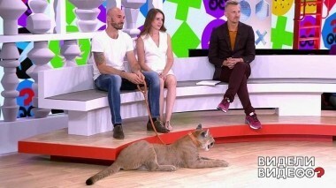 Видели видео? Выпуск от 28.08.2018