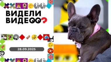 Видели видео? Выпуск от 28.09.2025