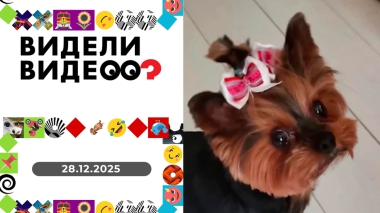 Видели видео? Выпуск от 28.12.2025