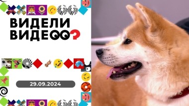 Видели видео? Выпуск от 29.09.2024