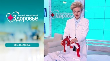 Здоровье. Выпуск от 03.11.2024