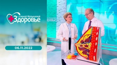 Здоровье. Выпуск от 06.11.2022