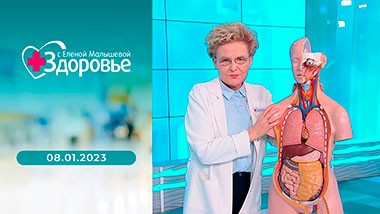 Здоровье. Выпуск от 08.01.2023