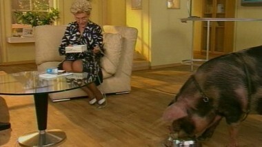 Здоровье. Выпуск от 08.11.2009