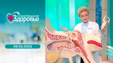 Здоровье. Выпуск от 09.02.2025