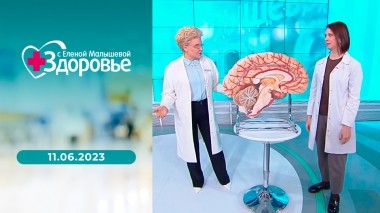 Здоровье. Выпуск от 11.06.2023