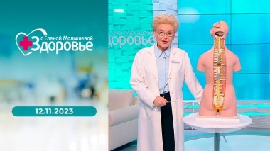 Здоровье. Выпуск от 12.11.2023