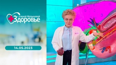 Здоровье. Выпуск от 14.05.2023