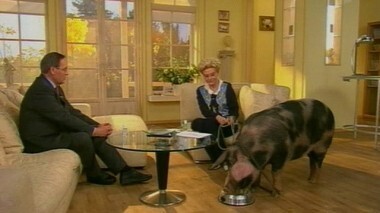 Здоровье. Выпуск от 18.10.2009