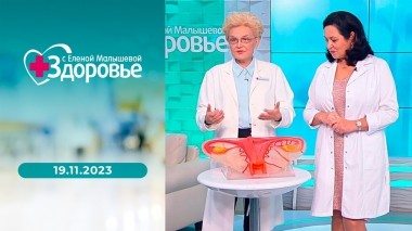Здоровье. Выпуск от 19.11.2023