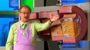 Жить здорово! Выпуск от 01.10.2015