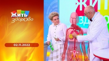 Жить здорово! Выпуск от 02.11.09.2022