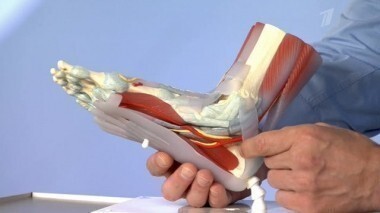 Жить здорово! Выпуск от 03.09.2013