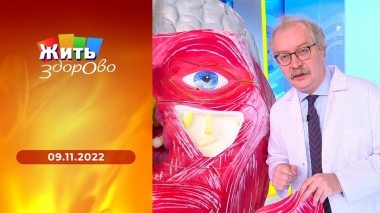 Жить здорово! Выпуск от 09.11.2022