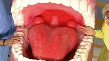 Жить здорово! Выпуск от 10.09.2013