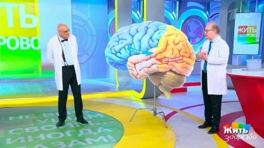 Жить здорово! Выпуск от 10.10.09.2022