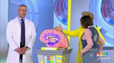 Жить здорово! Выпуск от 11.11.2019