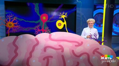 Жить здорово! Выпуск от 14.06.2022