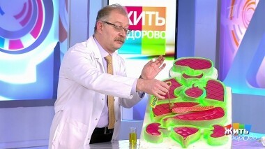 Жить здорово! Выпуск от 15.03.2019