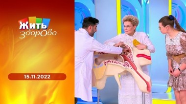 Жить здорово! Выпуск от 15.11.2022