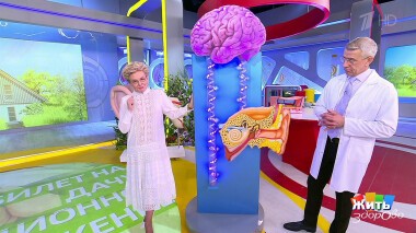 Жить здорово! Выпуск от 16.08.2022