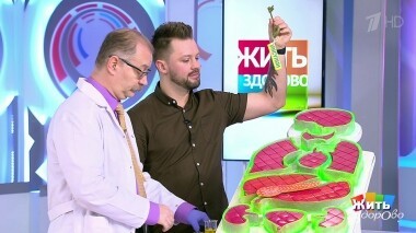 Жить здорово! Выпуск от 18.02.2019