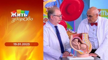 Жить здорово! Выпуск от 19.01.2023