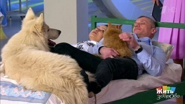 Жить здорово! Выпуск от 20.01.2017