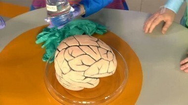 Жить здорово! Выпуск от 21.06.2013