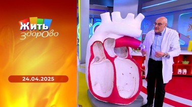 Жить здорово! Выпуск от 24.04.2025