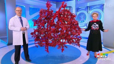 Жить здорово! Выпуск от 25.02.2021