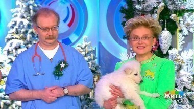 Жить здорово! Выпуск от 25.12.2017