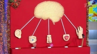 Жить здорово! Выпуск от 28.12.2015