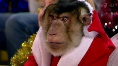 Жить здорово! Выпуск от 30.12.2015