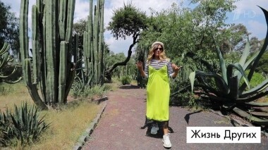 Мехико. Жизнь других. Выпуск от 17.11.2019